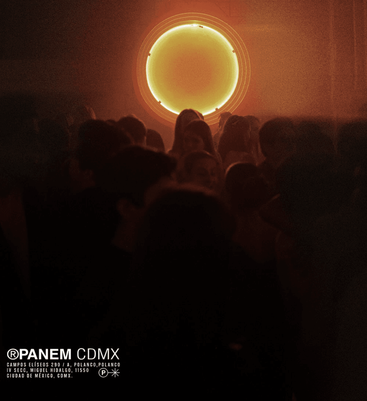 Panem Nights